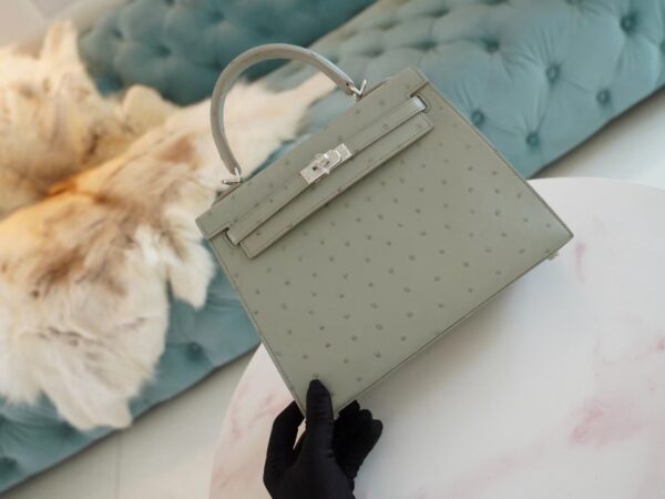 Hermes Shop Kelly 25CM KK Ostrich 8U Blue Glacier Silver Hardware