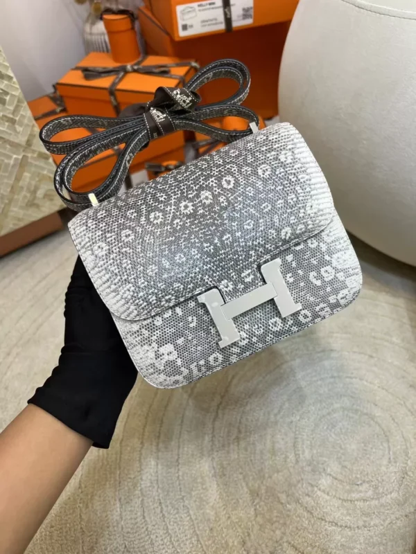 Hermes Ombre Lizard Leather Constance 19CM Silver Hardware