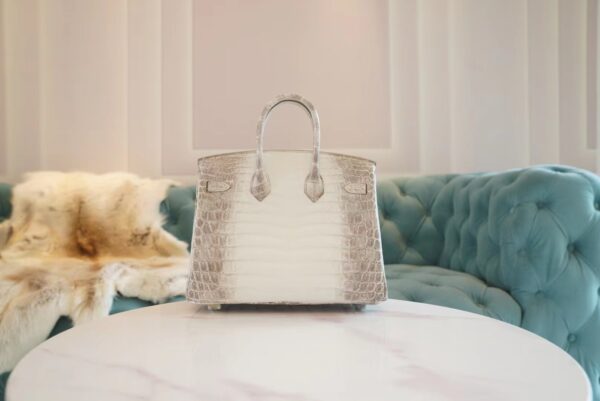Full Handmade Hermes Himalaya HCP Niloticus Crocodile Birkin25CM Silver Hardware