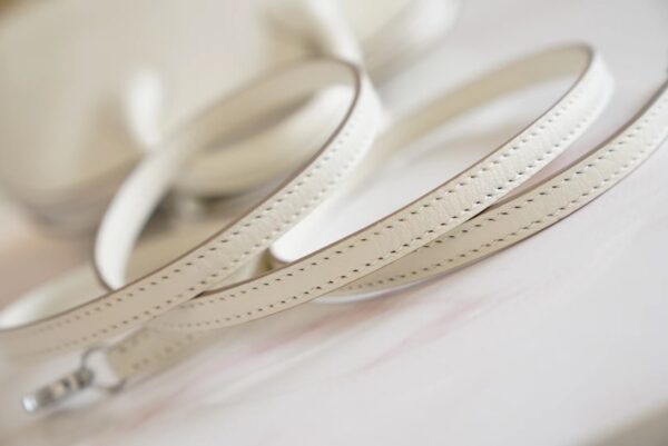 New Arrival Hermes Mushroom Chevre Leather Mini Bolide 18CM Silver Hardware