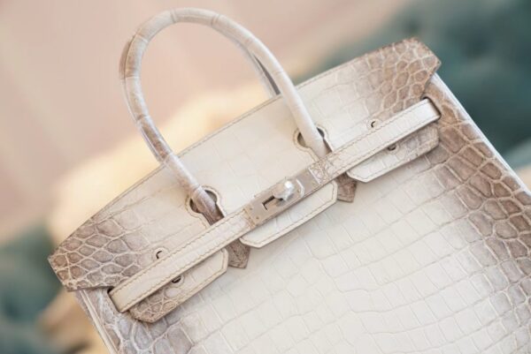 Full Handmade Hermes Himalaya HCP Niloticus Crocodile Birkin25CM Silver Hardware