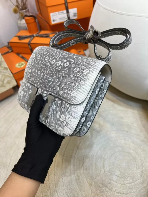 Hermes Ombre Lizard Leather Constance 19CM Silver Hardware