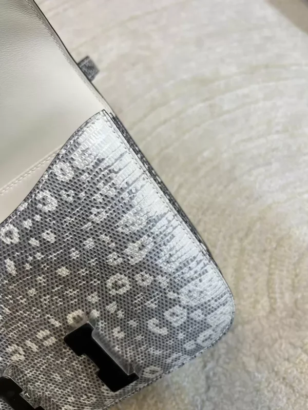 Hermes Ombre Lizard Leather Constance 19CM Silver Hardware