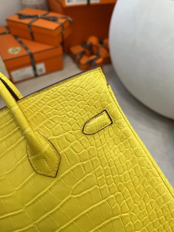 New Hermes Matte Alligator Crocodile M9 Mimosa Birkin 25CM Silver Hardware
