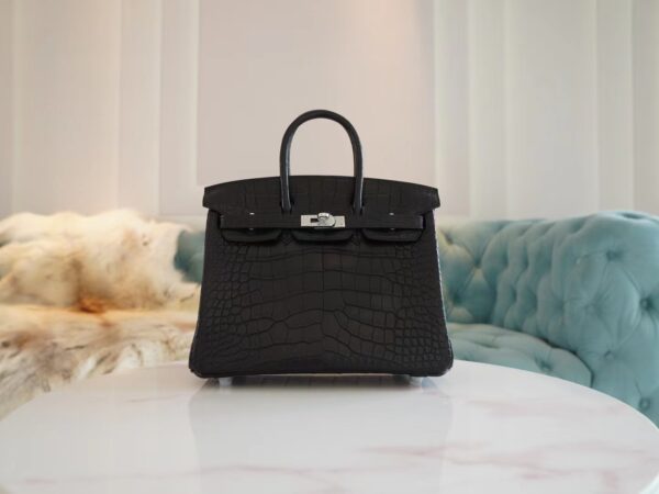 Hermes Shop CK89 Nior Birkin 25CM HCP Matte Alligator Silver Hardware