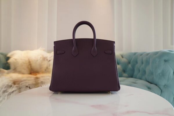 USA New York Hermes Birkin 25CM Togo 59 Raisin Gold Hardware