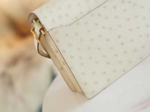 Hermes Boutique 3C Parchemin South Africa KK Ostrich Skin Roulis Mini18cm Gold Hardware
