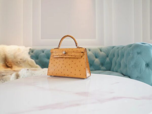 Hermes Boutique Tabac-Camel South Africa KK Ostrich Mini Kelly II 19CM