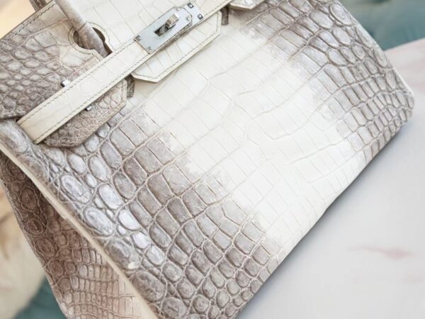 Hong Kong Hermes Birkin 30CM Himalaya Matte Niloticus Crocodile Gold Hardware