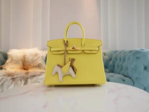c0026615a7b8643 Handmade Hermes Birkin 25CM Epsom 9R Lime Gold Hardware