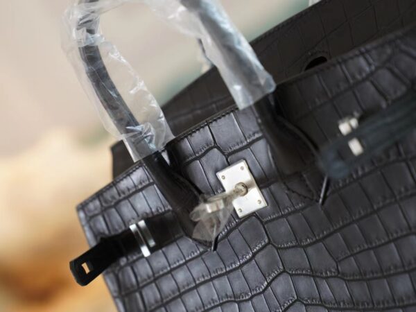 GPCMode Factory Hermes CK89 Nior Hcp Niloticus Crocodile Birkin25CM Silver Hardware