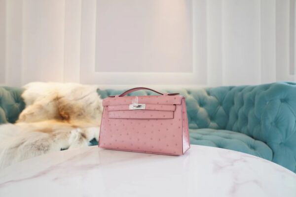 Wholesale Hermes 94 Terre Cuite KK Ostrich Skin Kelly Pochette22cm Clutch Bag