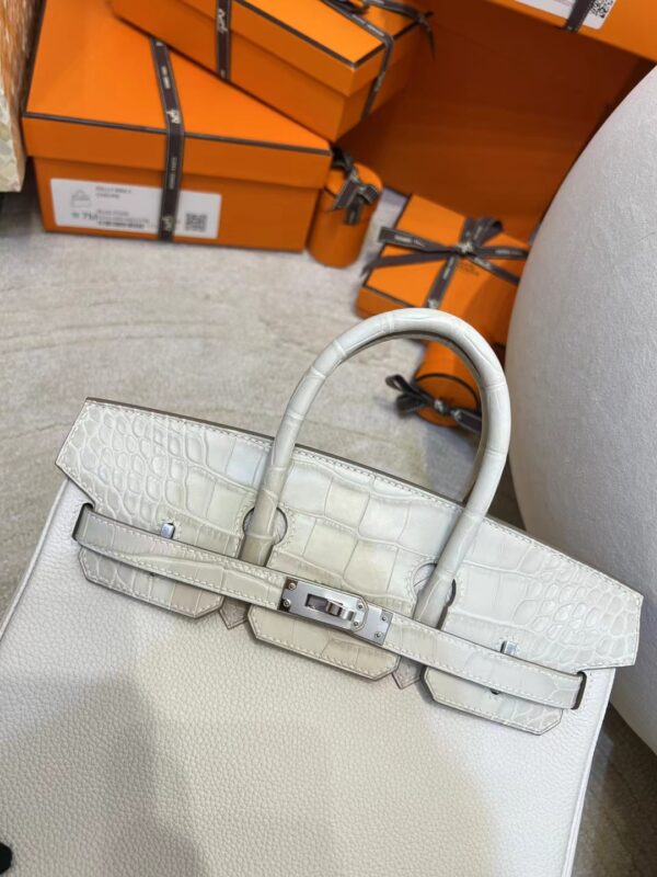 Hermes Birkin Touch 25CM 8L Beton Matte Crocodile/ Togo Silver Hardware