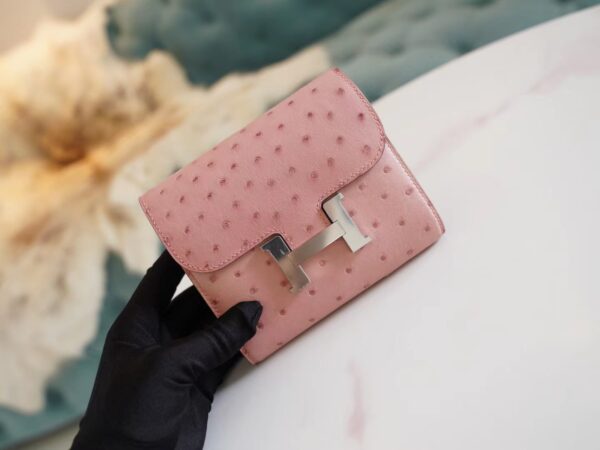 Sale GPCMode Hermes 94 Terre Cuite Ostrich Leather Constance Wallet Silver Hardware