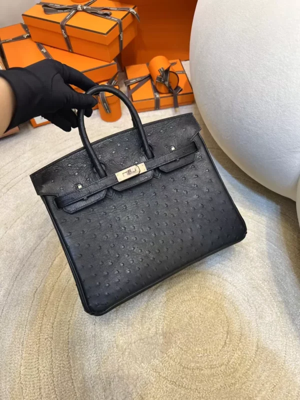 Hong Kong Hermes KK Ostrich Birkin 25CM 89 Noir Silver Hardware