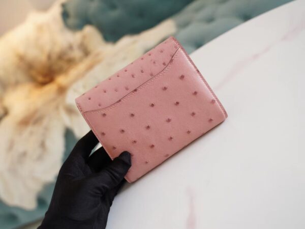 Sale GPCMode Hermes 94 Terre Cuite Ostrich Leather Constance Wallet Silver Hardware