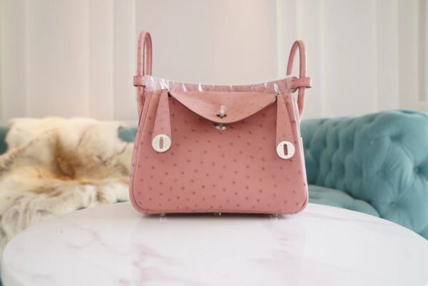 Full Handmade Hermes 94 Terre Cuite KK Ostrich Leather Lindy 26CM Silver Hardware