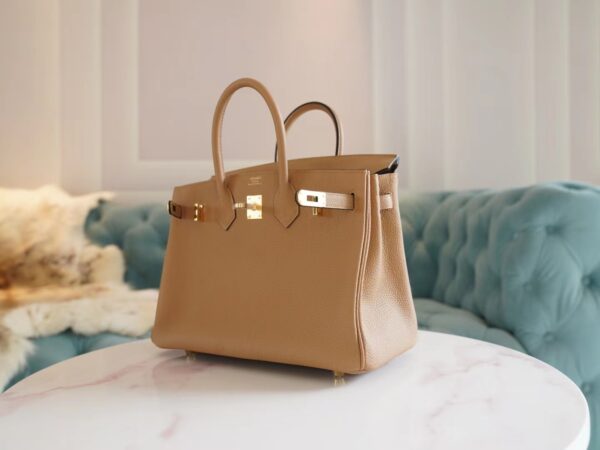 Fashion Lcmode Hermes 4B Biscuit Togo Leather Birkin25CM Women’s Bag Gold Hardware