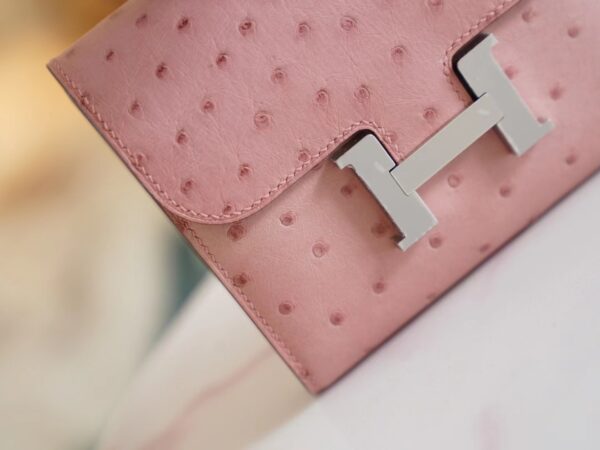 Sale GPCMode Hermes 94 Terre Cuite Ostrich Leather Constance Wallet Silver Hardware