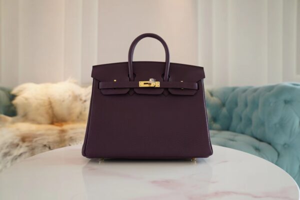 USA New York Hermes Birkin 25CM Togo 59 Raisin Gold Hardware