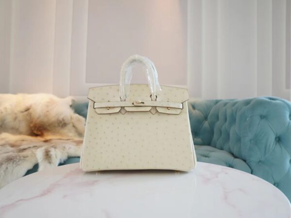 GPCMode Factory Hermes 8L Beton South Africa KK Ostrich Birkin Bag25CM