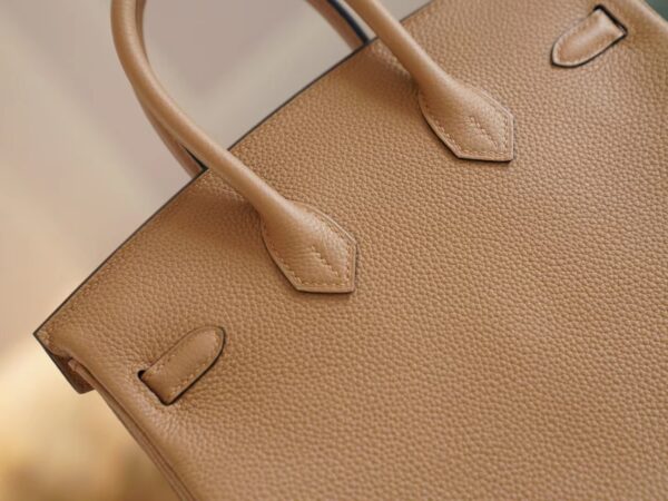 Fashion Lcmode Hermes 4B Biscuit Togo Leather Birkin25CM Women’s Bag Gold Hardware