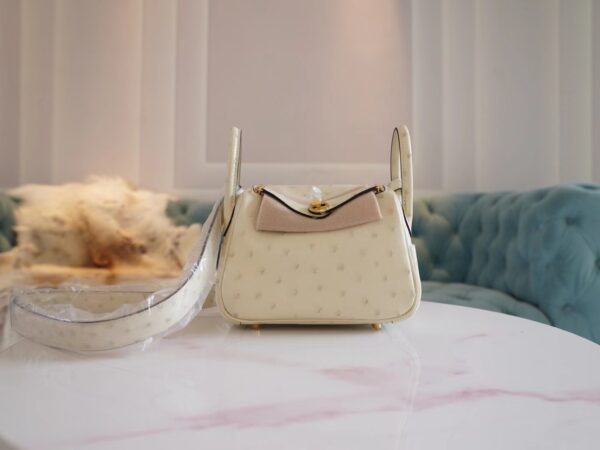 Special Order Hermes South KK Ostrich Mini Lindy 19CM I2 Nata Gold Hardware