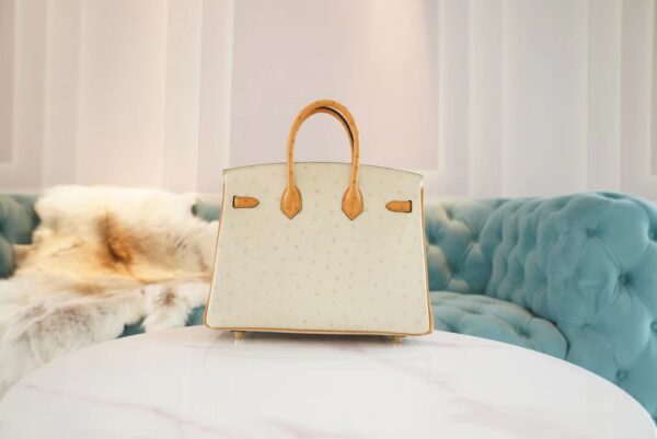 GPCMode Hermes Birkin Bag25CM 3C Parchemin/1H Toffe KK Ostrich Leather Gold Hardware