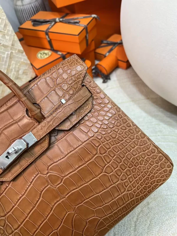 Hong Kong Hermes CK37 Gold Matte Alligator Crocodile Birkin Bag 30CM Silver Hardware