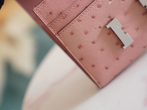 Sale GPCMode Hermes 94 Terre Cuite Ostrich Leather Constance Wallet Silver Hardware