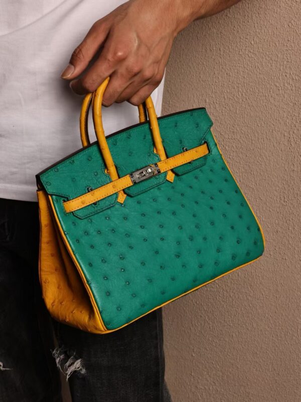 GPC Mode Birkin 25CM Ostrich Leather U4 Vert Vertigo / 9D Amber Special Order Silver Hardware