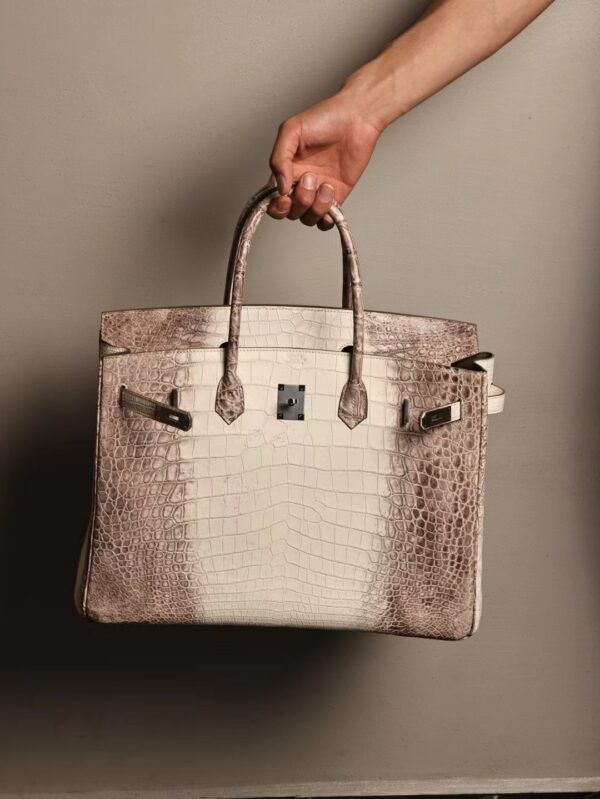 GPC Mode Hermes Birkin 40CM Himalaya Bag Crocodile Leather Silver Hardware