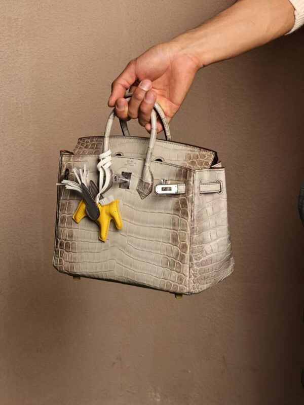 GPC Mode Hermes Birkin 25CM 8D Grey Himalaya Matte Crocodile PHW