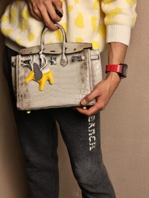 GPC Mode Hermes Birkin 25CM 8D Grey Himalaya Matte Crocodile PHW