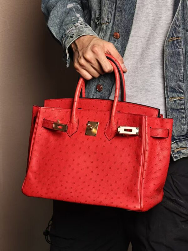 GPC Mode Hermes Birkin 30CM Q5 Rouge Casaque Ostrich Leather GHW